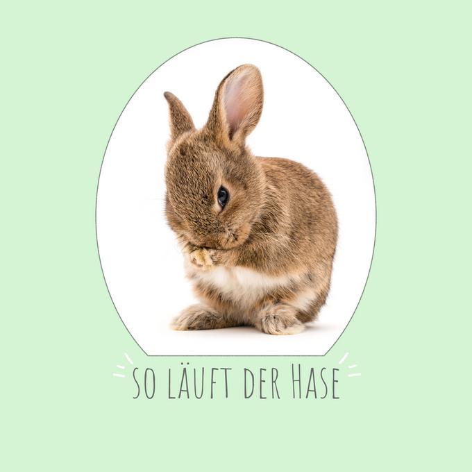 Servietten *... so läuft der Hase*