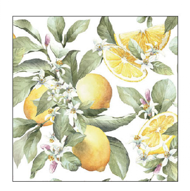 Servietten *Limoni* 25*25