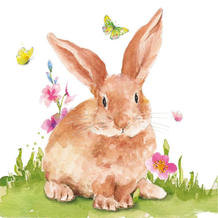 Servietten *Mr. Rabbit*