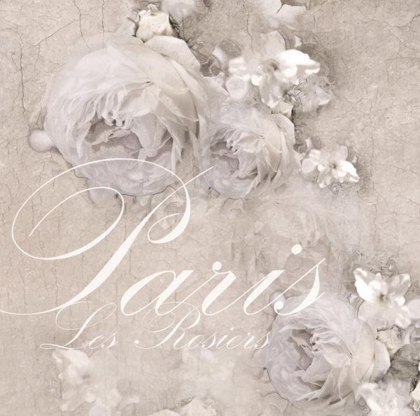 Servietten *Paris*