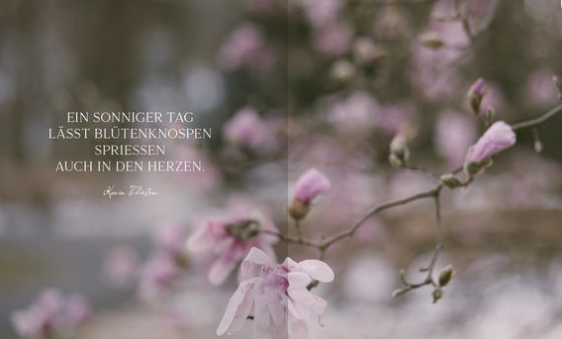 Der Geschmack von Frühling - 0