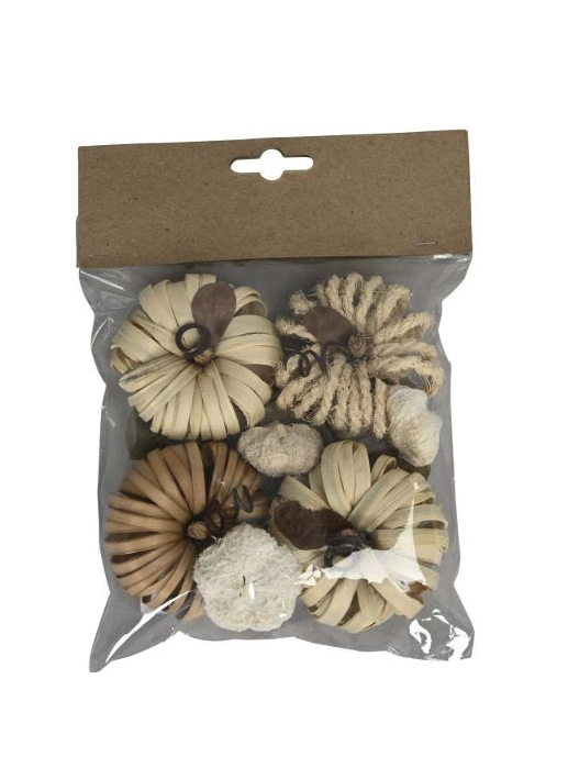 Kürbis-Sortiment - 0