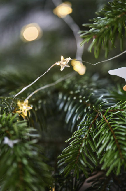 Lichterkette *50 Sterne* mit Timer