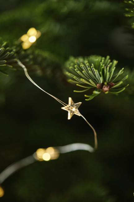 Lichterkette *50 Sterne* mit Timer - 1