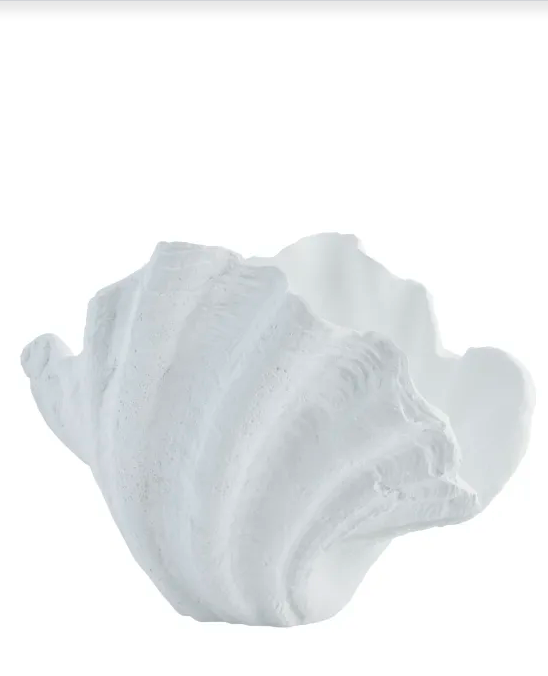 Deko-Objekt Muschel Vase - 0