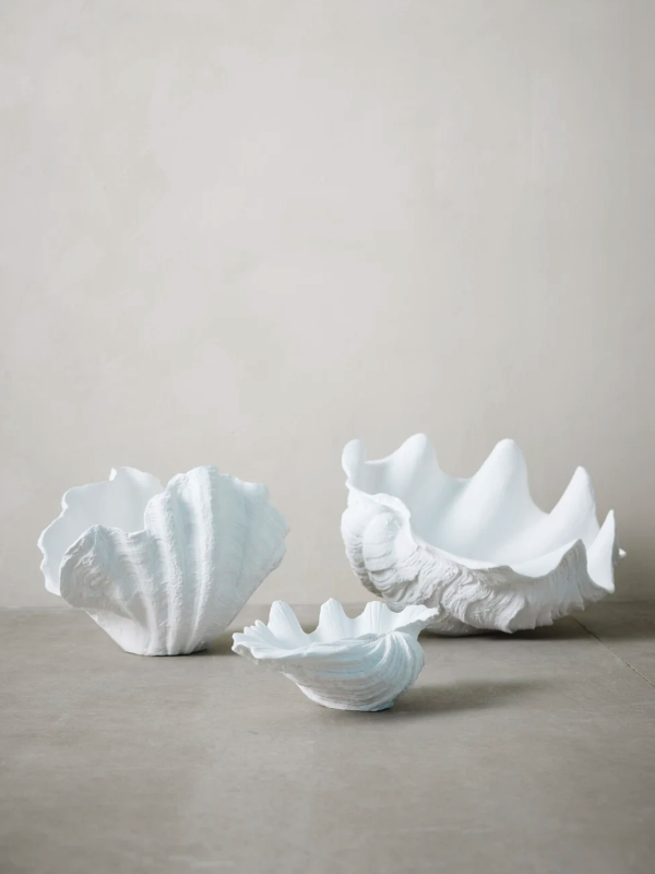 Deko-Objekt Muschel Vase - 2