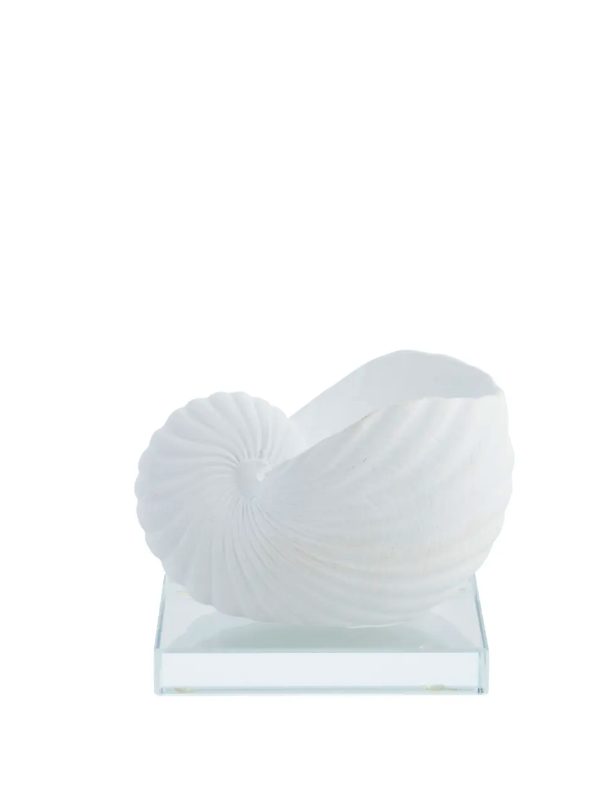 Deko-Objekt Muschel klein