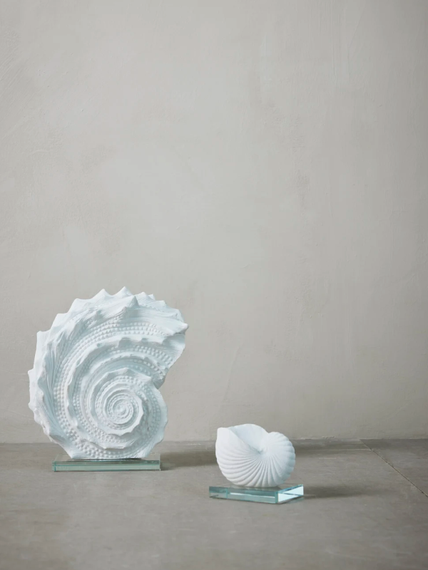 Deko-Objekt Muschel klein - 0