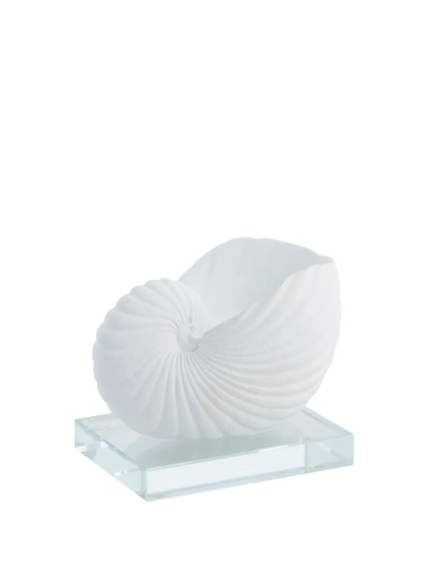 Deko-Objekt Muschel klein - 1