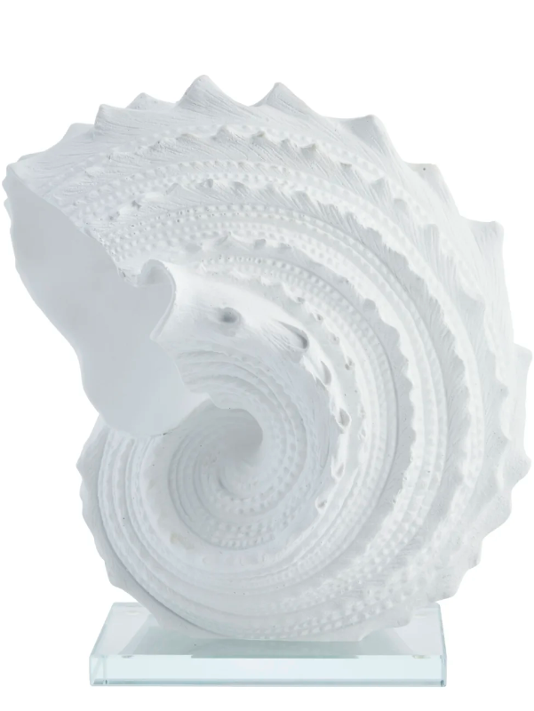 Deko-Objekt Muschel gross - 3