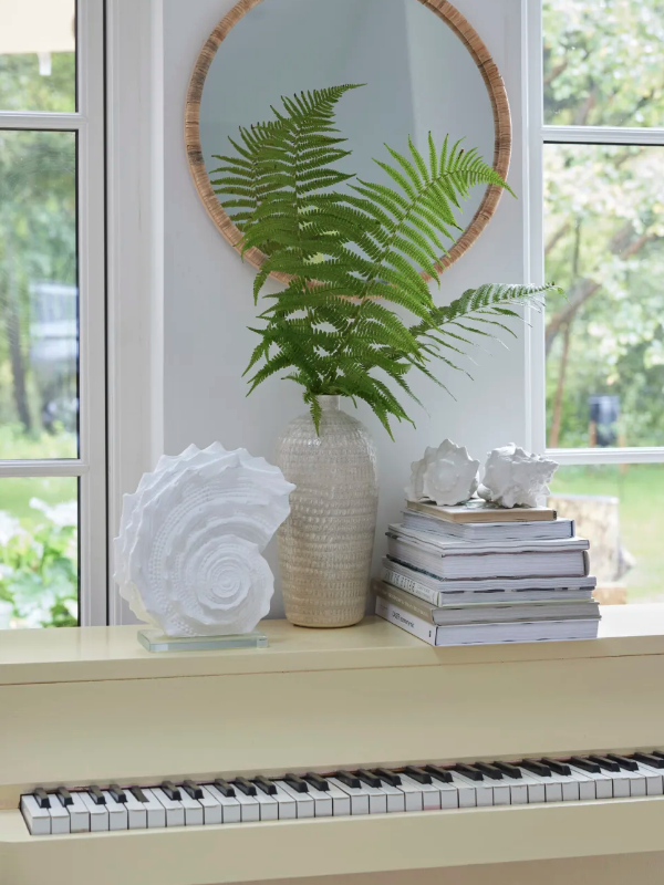 Deko-Objekt Muschel gross - 0