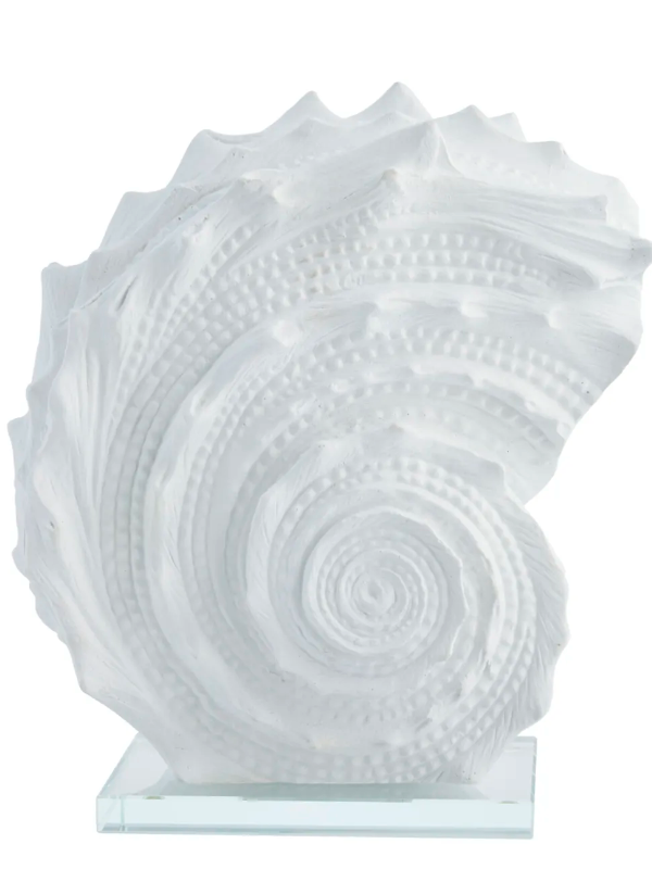 Deko-Objekt Muschel gross