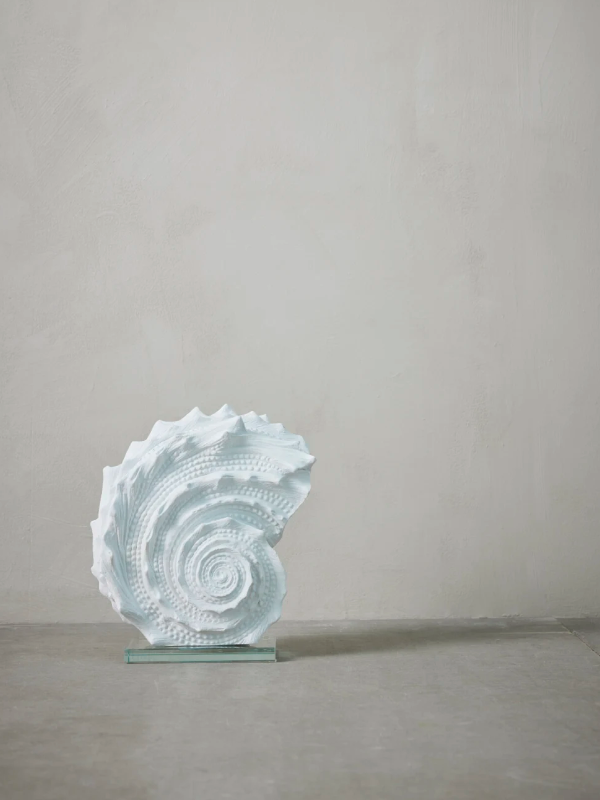 Deko-Objekt Muschel gross - 2