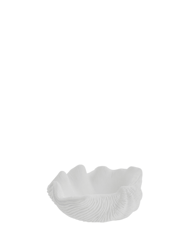 Deko-Objekt Muschel-Schale 14,5cm - 0