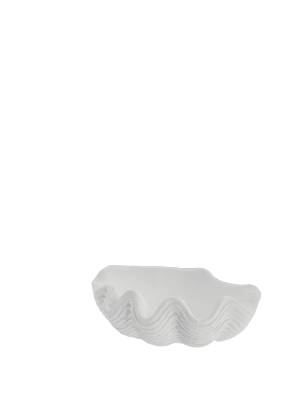 Deko-Objekt Muschel-Schale 14,5cm