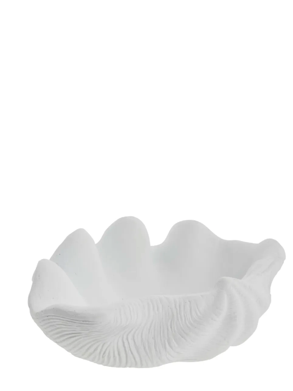 Deko-Objekt Muschel-Schale 25 cm - 1