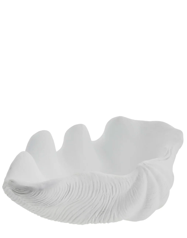 Deko-Objekt Muschel-Schale 32cm - 0