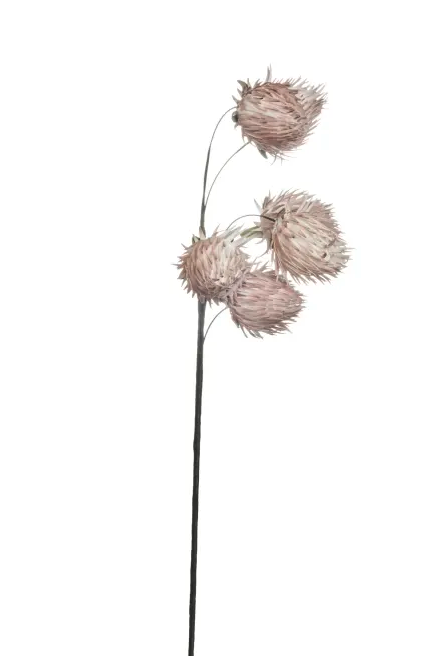 Deko-Blume *Happia* rosa