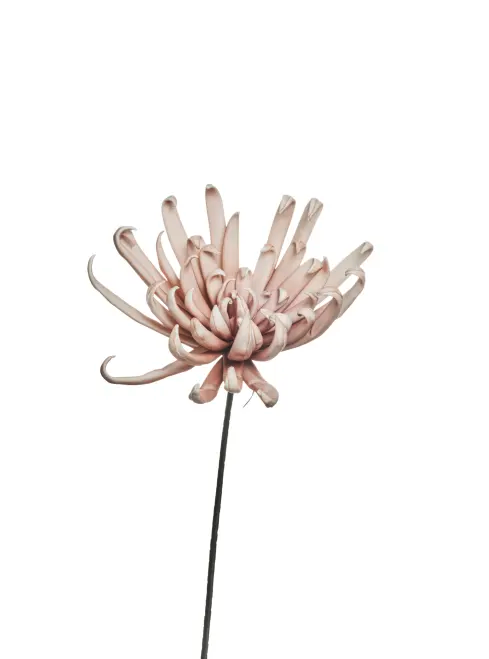 Deko-Blume *Happia* rosé