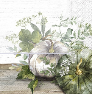 Servietten *Kürbis* 25*25