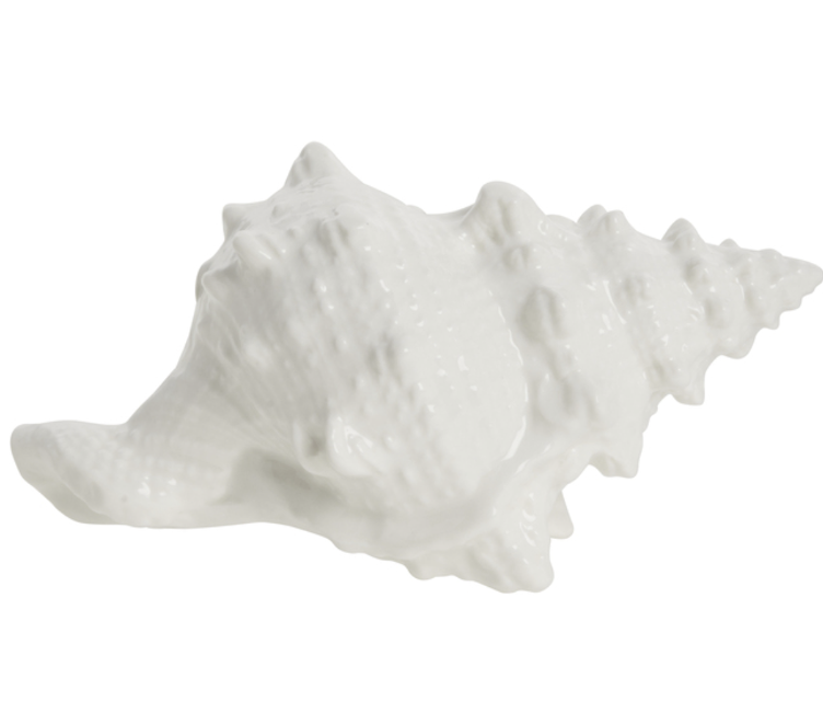 Dekoration Muschel *Shellille* weiss - 2